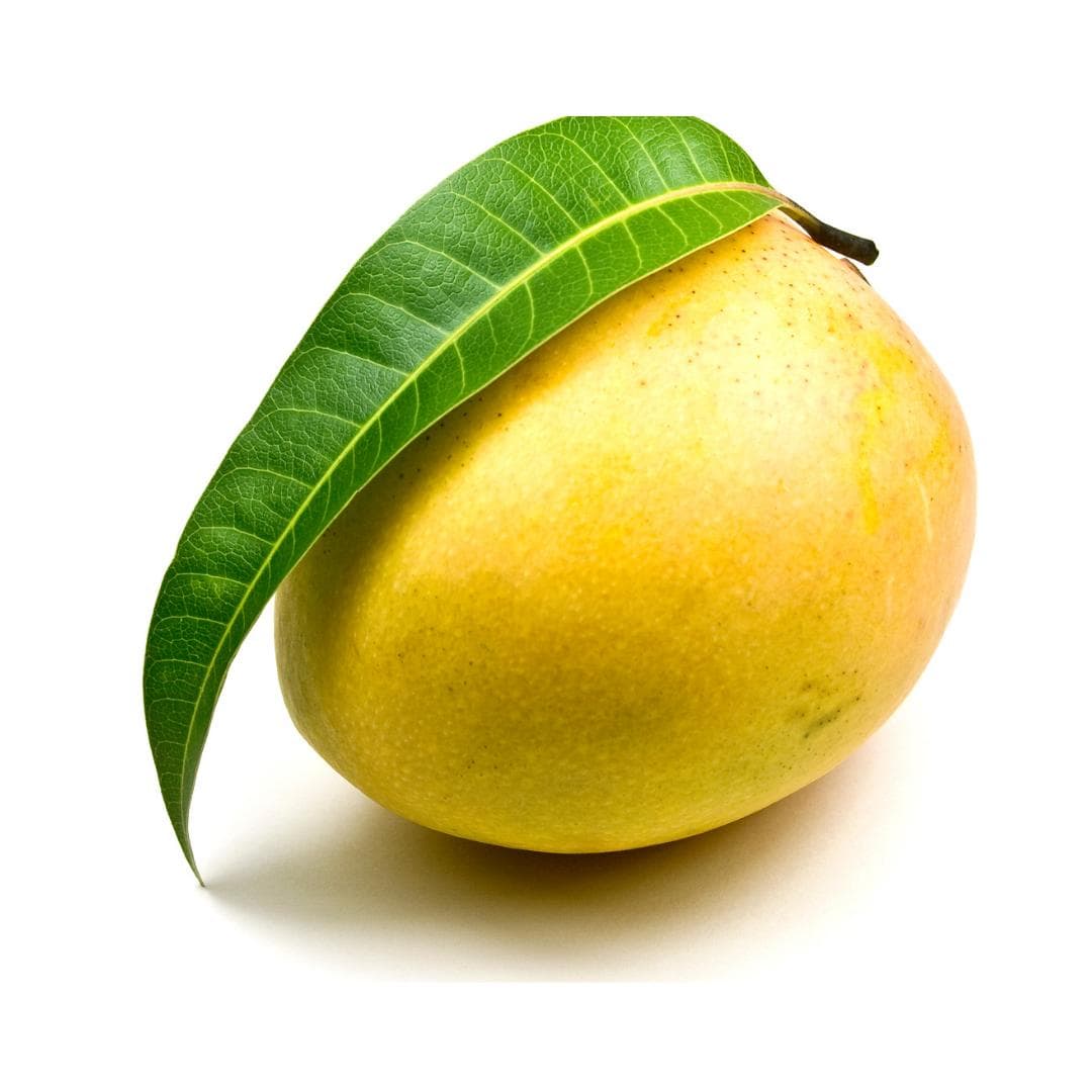 Alphonso Mango
